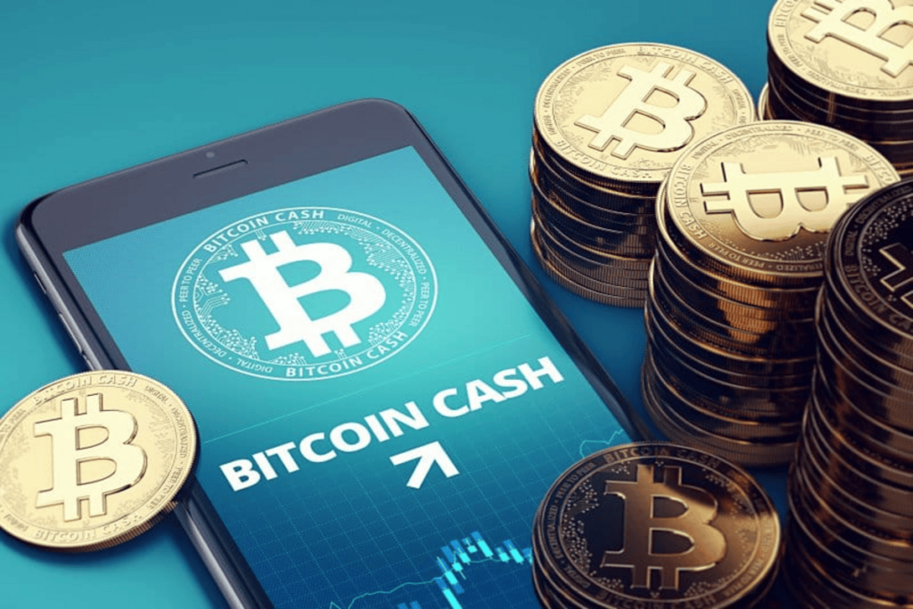 Bitcoin Cash (BCH) Pulls Back After Yesterday's Big Push While Ecoterra Goes Up and Up